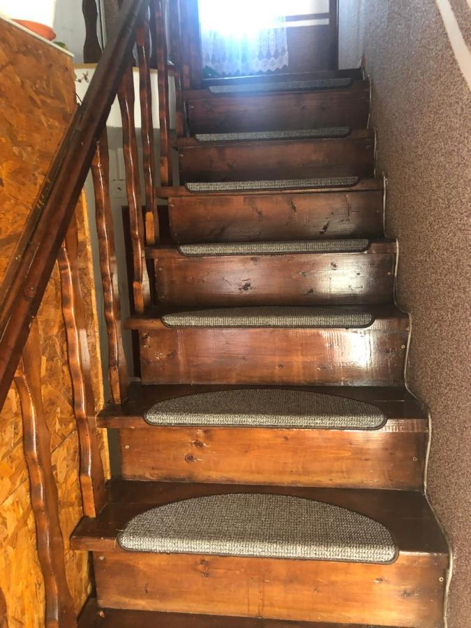 Pensiunea Lacramioara Vatra Dornei Dış mekan fotoğraf