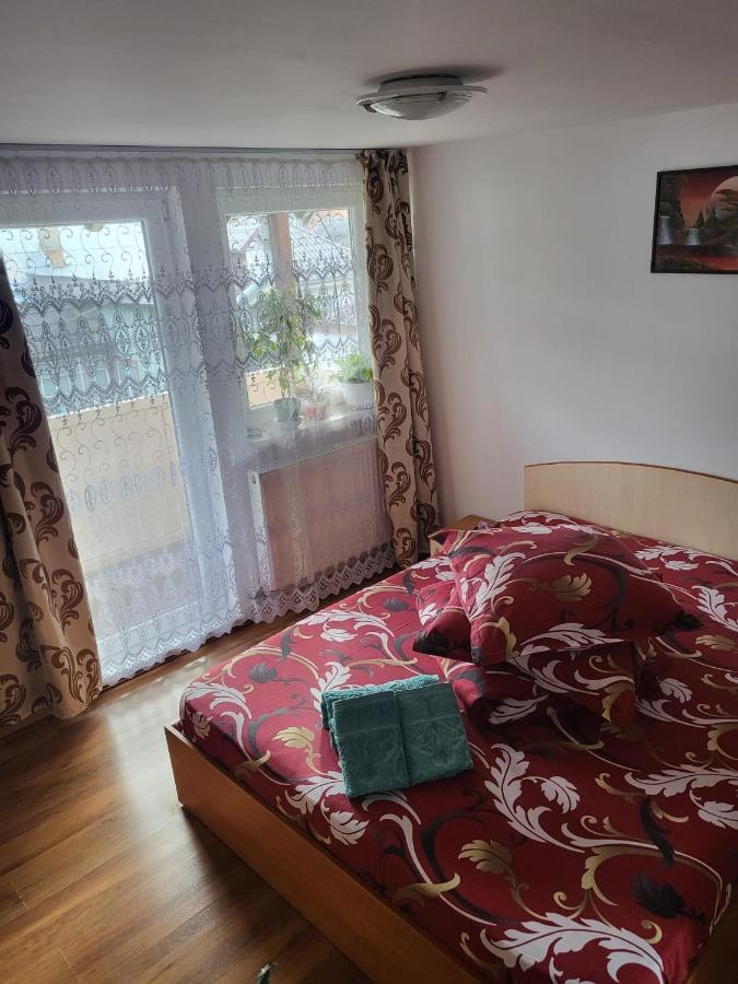 Pensiunea Lacramioara Vatra Dornei Dış mekan fotoğraf
