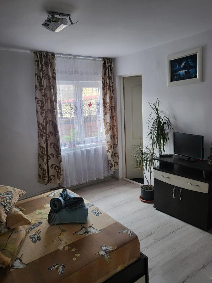 Pensiunea Lacramioara Vatra Dornei Dış mekan fotoğraf