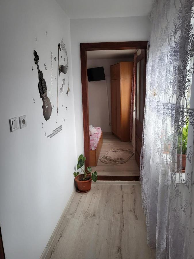 Pensiunea Lacramioara Vatra Dornei Dış mekan fotoğraf